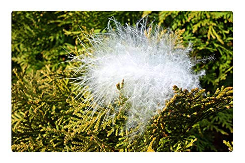 LESGAULEST Doormat Floor Rug/Mat (23.6 x 15.7 inch) - Down Feather Down Feather Fuzz Fluff Floss