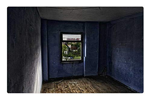 LESGAULEST Doormat Floor Rug/Mat (23.6 x 15.7 inch) - Room Leave Decay Home Run Down Old Lapsed