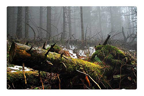 LESGAULEST Doormat Floor Rug/Mat (23.6 x 15.7 inch) - Moss Tree Forest Mountains Thrown Down Trunk