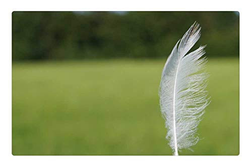 LESGAULEST Doormat Floor Rug/Mat (23.6 x 15.7 inch) - Feather Lightweight Down Ease Slightly LESGAULEST Doormat Floor Rug/Mat (23.6 x 15.7 inch) - Feather Lightweight Down Ease Slightly