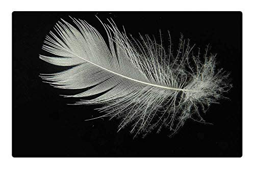 LESGAULEST Doormat Floor Rug/Mat (23.6 x 15.7 inch) - Down Feather Lightweight Fly Slightly Float LESGAULEST Doormat Floor Rug/Mat (23.6 x 15.7 inch) - Down Feather Lightweight Fly Slightly Float
