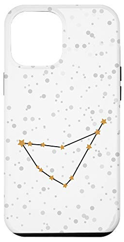 iPhone 12 Pro Max Pisces Star Constellation Zodiac Sign Simple Design Case
