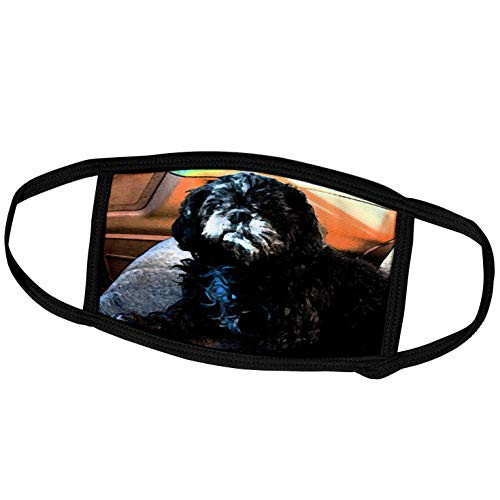 3dRose Jos Fauxtographee Realistic - Black and White Shiatsu Lhasas Doggie Family Pet in The Front Seat of The Car Done in Poster Finish - Face Masks (fm_49446_1) 3dRose Jos Fauxtographee Realistic - Black and White Shiatsu Lhasas Doggie Family Pet in The Front Seat of The Car Done in Poster Finish - Face Masks (fm_49446_1)