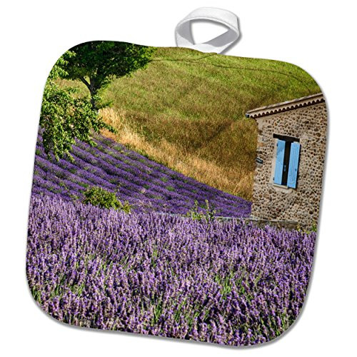 3dRose Pot Holder France, Provence Lavender fields near a home, 8 by 8 inch