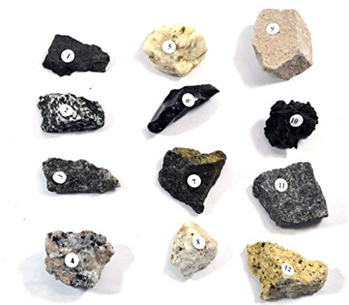 Eisco Igneous Rocks Kit - Contains 12 specimens Measuring Approx. 1 inch (3cm)