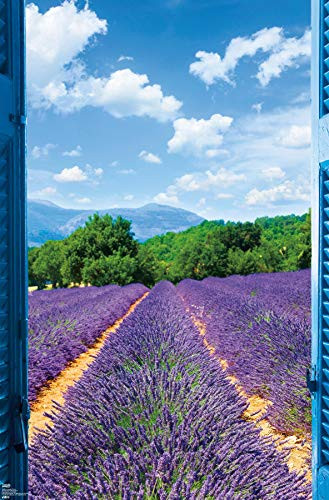 Trends International Lavender Field Wall Poster, 22.375 inch x 34 inch, Premium Unframed Version