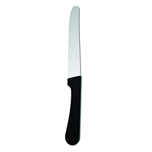 Oneida Seville Elite Steak Knives Flatware, Set of 12, Silver