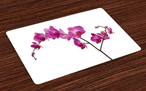 Ambesonne Magenta Place Mats Set of 4, Wild Orchids Petal Florets Branch Romantic Flower Exotic Plant Nature Print, Washable Fabric Placemats for Dining Table, Standard Size, Violet White