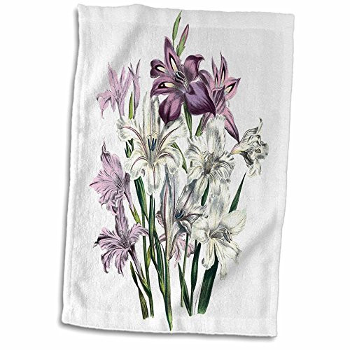 3D Rose Vintage Flowers Gladiolus in White Pink and Lavender Towel, 15 inch x 22 inch 3D Rose Vintage Flowers Gladiolus in White Pink and Lavender Towel, 15 inch x 22 inch