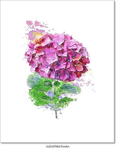 Watercolor Image Of Hydrangea Flower Paper Print Wall Art (10in. x 8in.)