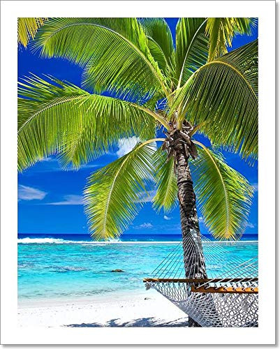 Empty Hammock Under Palm Tree On The Beach Paper Print Wall Art (10in. x 8in.)