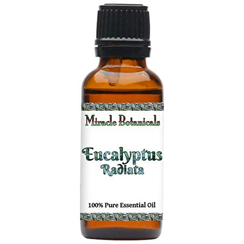 Miracle Botanicals Australian Eucalyptus Radiata Essential Oil - 100percent Pure Eucalyptus Radiata - Therapeutic Grade (30ML) Miracle Botanicals Australian Eucalyptus Radiata Essential Oil - 100percent Pure Eucalyptus Radiata - Therapeutic Grade (30ML)
