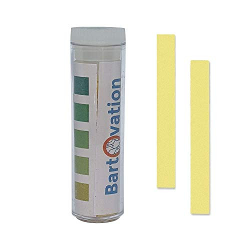 Restaurant Quaternary Ammonium (QAC, Multi Quat) Sanitizer Test Paper, 0-500 ppm  Vial of 100 Paper Strips