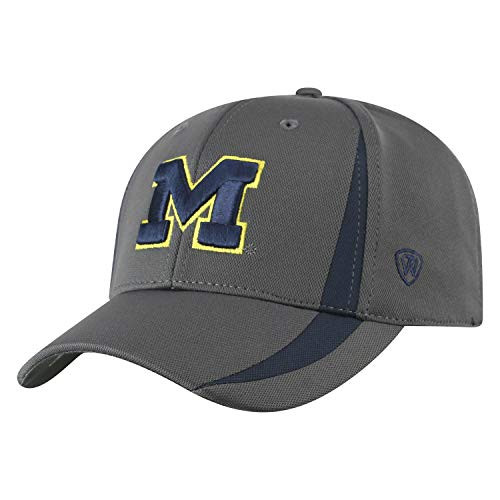 Top of the World Michigan Wolverines Men's Performance Fitted Charcoal Icon hat, One Fit