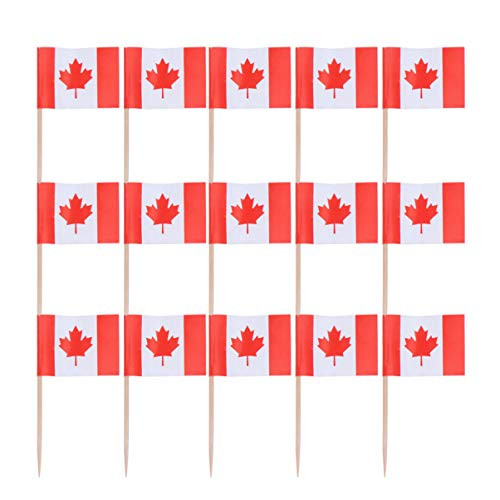 NUOBESTY 100pcs Mini Canada Flag Cupcake Toppers Wood Toothpicks Cake Toppers Fruit Picks for World Country Sports Party Supplies
