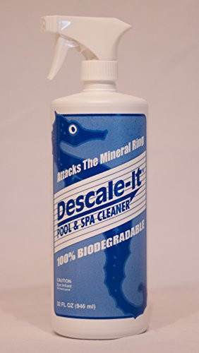 Descale-It Pool  and  Spa Cleaner (32 FL Oz)