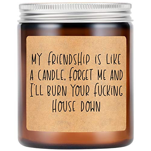 LEADO Lavender Scented Candles - Best Friend, Friendship Gifts for Women - Best Friend Birthday Gifts for Women - Funny Gifts for Friends, Coworkers, BFF Gifts - Going Away Gifts for Friends Moving