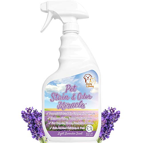 Pet Stain  and  Odor Miracle - Enzyme Cleaner for Dog and Cat Urine, Feces, Vomit, Drool (Light Lavender Scent, 32 FL OZ)