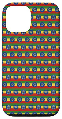 iPhone 12 mini Ethiopia Artistic Flag Star Pattern - Ethiopian Pride Case