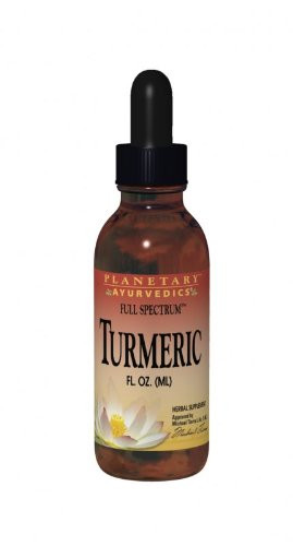 Planetary Herbals Turmeric Full Spectrum Liquid by Planetary Ayurvedics, Support for Antioxidant and Healthy Inflammation Response, 4 Ounces