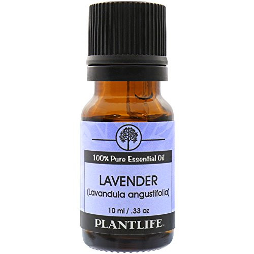 Plantlife Lavender 100percent Pure Essential Oil - Bulgarian - 10 ml