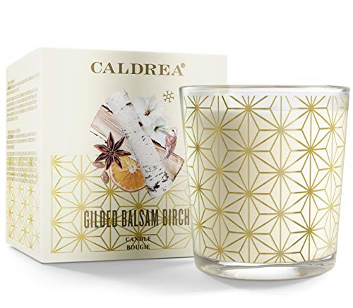 Caldrea Scented Candle, Made with Essential Oils and Other Thoughtfully Chosen Ingredients, 45 Hour Burn Time, Gilded Balsam Birch Scent, 8.1 oz (Packaging May Vary), natural Caldrea Scented Candle, Made with Essential Oils and Other Thoughtfully Chosen Ingredients, 45 Hour Burn Time, Gilded Balsam Birch Scent, 8.1 oz (Packaging May Vary), natural