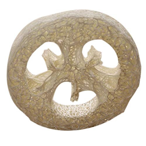 BOINN 150Pcs Natural Loofah Luffa Loofa Slices Handmade Loofah Soap Box Tray Tools Cleaner Sponge Facial Soap Holder