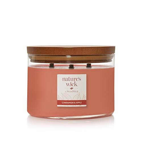 Nature's Wick Cinnamon  and  Apple Candle, 10 oz