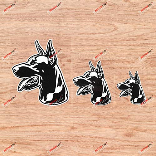Dobermann Doberman Pinscher Dog Head Vinyl Decal Sticker White Color Black Background - 3 Pack Glossy, 3 Inches, 4 Inches, 6 Inches - for Car Boat Laptop 09040B