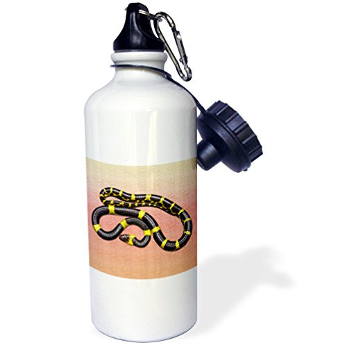 3dRose Snake. Yellow and Black. Popular Image. -Sports Water Bottle, 21oz , 21 oz, Multicolor