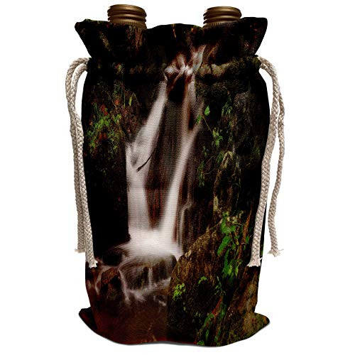 3dRose Mike Swindle Photography - Landscapes - Split streams of water flowing down rock - Wine Bag (wbg_309090_1)