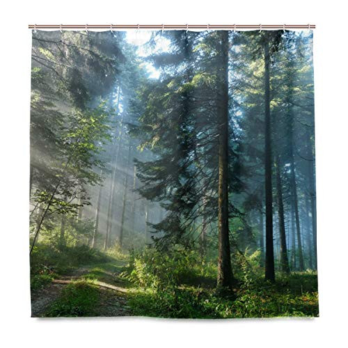 DZGlobal Forest Shower Curtain Misty Forest with Sunshine Green Trees Landscape Polyester Fabric Waterproof Bathroom Accessories from Mountain Shower Curtains Set with 12 Plastic Hooks 72X72 Inch