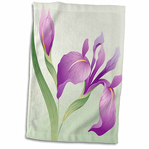 3D Rose Lavender Iris on a Green Background TWL_203045_1 Towel, 15 inch x 22 inch, Multicolor 3D Rose Lavender Iris on a Green Background TWL_203045_1 Towel, 15 inch x 22 inch, Multicolor