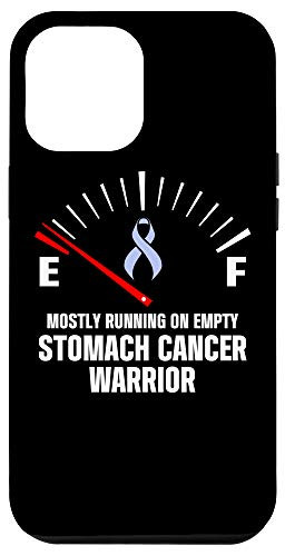 iPhone 12 Pro Max Stomach Cancer Survivor Empty Warrior Case
