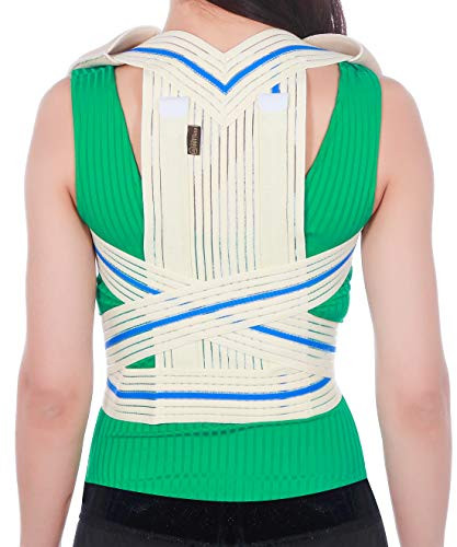 Dijenu in Bottega Posture Support (MONOFILAMENT Fabric) - Comfort Posture Corrector Back Support Brace, Breathable Posture Corrector, Upper and Lower Back Pain Relief Correct (Beige, Medium)