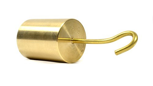 Eisco Labs Individual Hooked Weights - Brass - 500g
