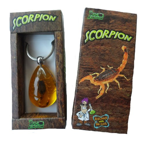 Discover with Dr. Cool Real Scorpion Key Chain Discover with Dr. Cool Real Scorpion Key Chain