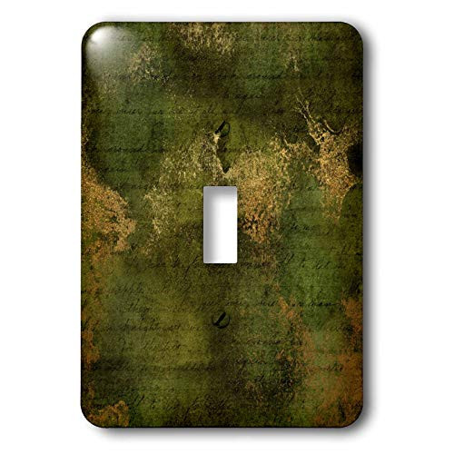 3dRose Chic Green Grunge With Script Writing and Image Of Gold. - Light Switch Covers (lsp_326636_1)