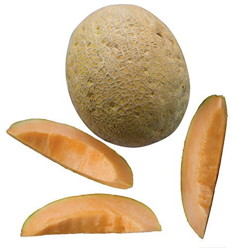 Burpee Aphrodite Cantaloupe Melon Seeds 25 seeds Burpee Aphrodite Cantaloupe Melon Seeds 25 seeds