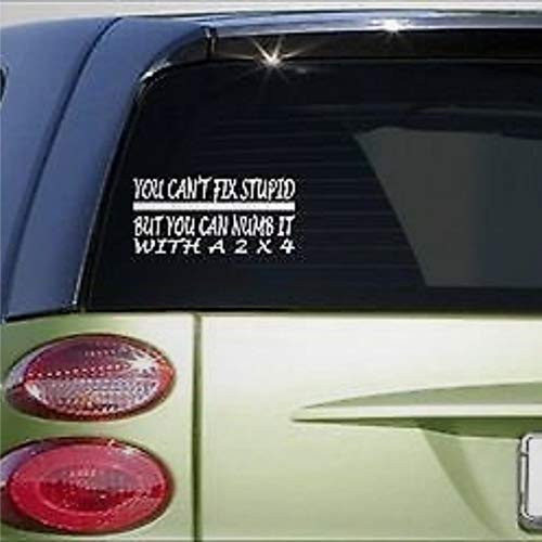 You Cant Fix Stupid Numb It Sticker Decal Joke Funny JDM Turbo Stickers Car Decal Window Decal Vinyl Decal Die Cut Decals Funny Laptop Stickers Bumper Stickers Gift