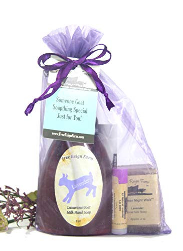 Lavender Bath Set. A Spa Kit of Lavender Goat Milk Foaming Soap, Lavender Goat Milk Half Bar Soap and Lavender Beeswax Lip Balm