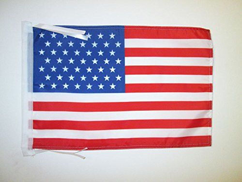 AZ FLAG United States 1959-1960 49 Stars Flag 18'' x 12'' Cords - USA - American Historic Small Flags 30 x 45cm - Banner 18x12 in