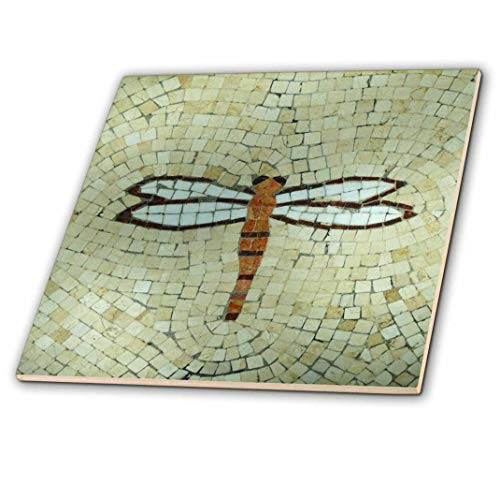 3dRose ct_29712_3 Dragonfly on Beige Ceramic Tile, 8 inch 3dRose ct_29712_3 Dragonfly on Beige Ceramic Tile, 8 inch