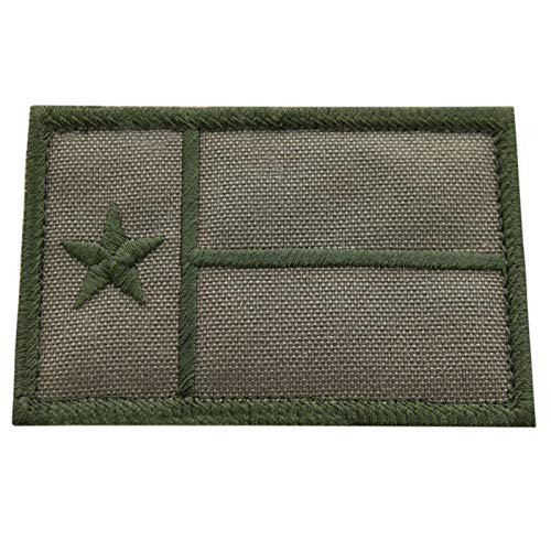 LEGEEON Ranger Green Texas Lone Star Flag USA Army Tactical Morale Fastener Cap Patch