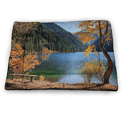 Dog Bed Kennel Pad Seaside Comfortable and Portable Relaxing Scene on Remote Beach with Palm Tree Chairs And Boats Panoramic Picture Lovely Pet Supplies for Cats Kittens Blue Green (23 inchx15.5 inch)