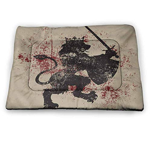 Pet Crate Mat Dog Bed Guitar Dog Bed Crate Mat Grunge Instruments Strings Creativity Writing Songs Digital Classic Acoustic Music for Large Medium Small Dogs and Cats Multicolor (23 inchx15.5 inch)