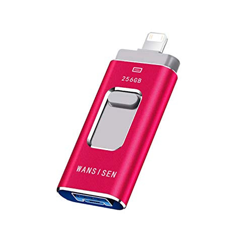 USB Flash Drive 256GB Memory Stick for Phone Thumb Drive Photo Stick USB3.0 Pen Drive WANSISEN Compatible Phone/Pad/Pod/Mac Book/Android/PC/iOS (Red-XT256G)