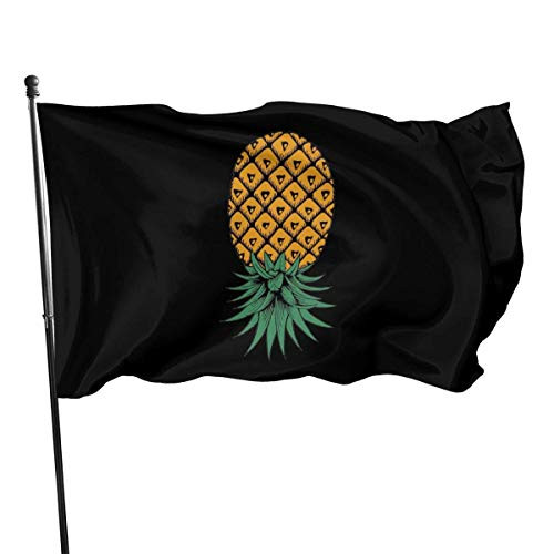 MOEEZE 3x5 Foot Upside Down Pineapple Flag