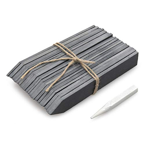 20 Piece Slate Garden Plant and Vegetable Markers Complete with Soapstone Chalk - Reusable Natural Slate Plant Label Stakes for Vegetables, Herbs, Flowers, Potted Plants or Decoration 20 Piece Slate Garden Plant and Vegetable Markers Complete with Soapstone Chalk - Reusable Natural Slate Plant Label Stakes for Vegetables, Herbs, Flowers, Potted Plants or Decoration
