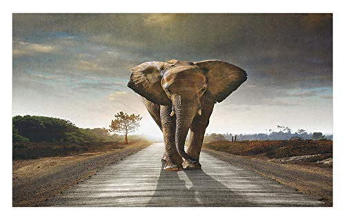 Ambesonne Elephant Doormat, Lonely Animal Walking Down a Road with Trees and Hills Nature Theme in Africa, Decorative Polyester Floor Mat with Non-Skid Backing, 30 inch X 18 inch, Multicolor